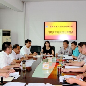 公司黨委召開對(duì)照黨章黨規(guī)找差距研討專題會(huì)
