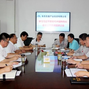 公司黨委召開學(xué)習(xí)習(xí)近平新時(shí)代中國(guó)特色社會(huì)主義思想課題研討會(huì)